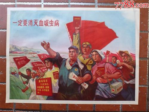安科纳音乐学院学士学位证
